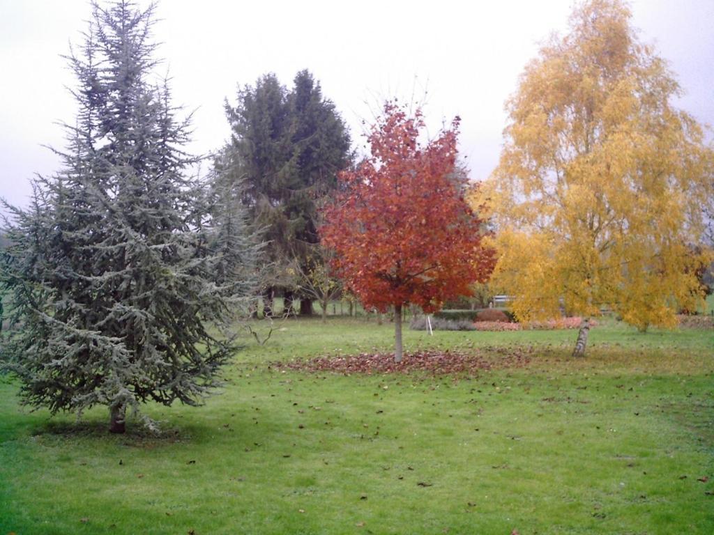 Vauxaillon Au Jardin Fleuriヴィラ エクステリア 写真