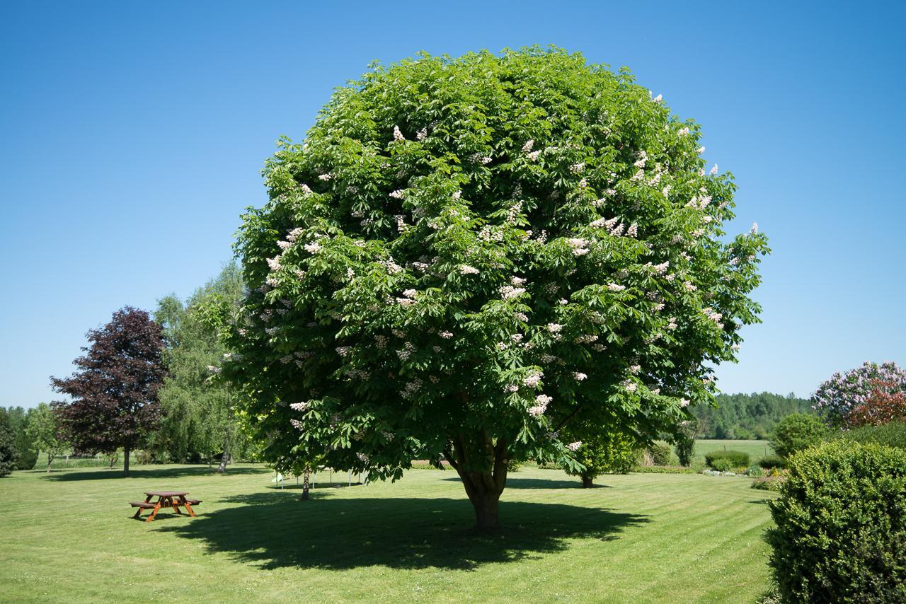Vauxaillon Au Jardin Fleuriヴィラ エクステリア 写真