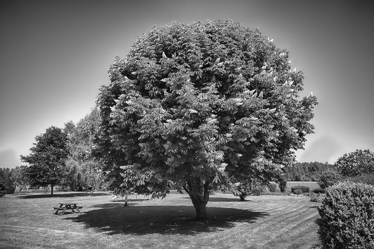 Vauxaillon Au Jardin Fleuriヴィラ エクステリア 写真