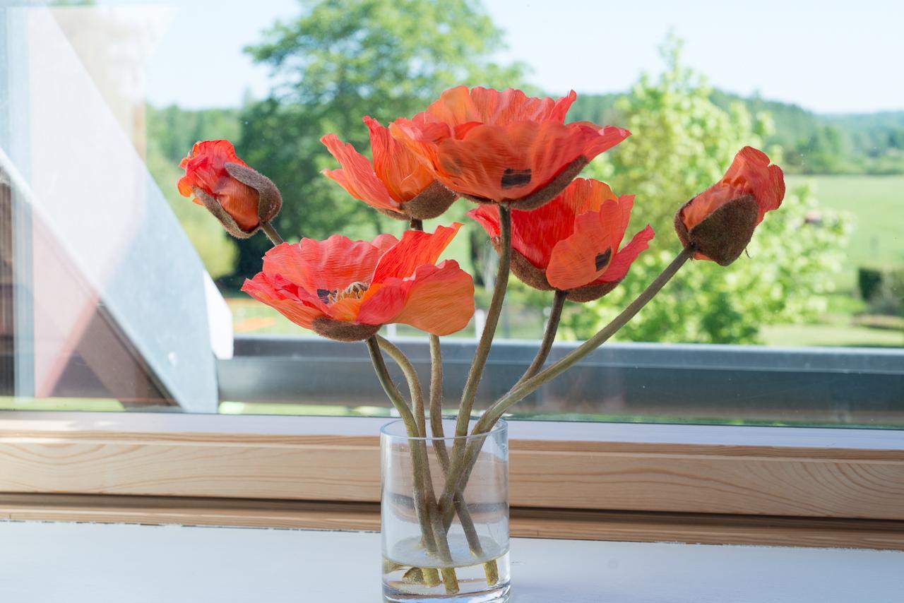 Vauxaillon Au Jardin Fleuriヴィラ エクステリア 写真