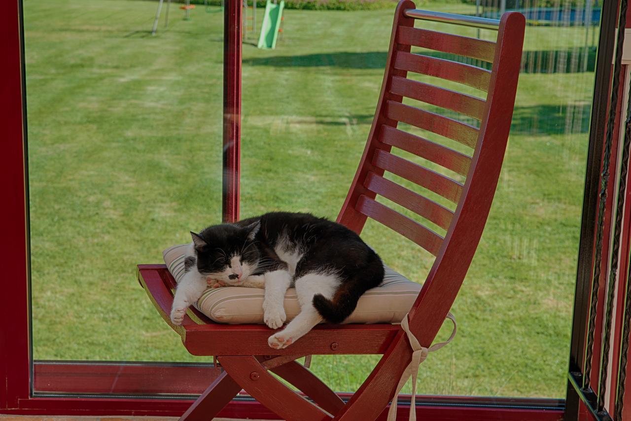 Vauxaillon Au Jardin Fleuriヴィラ エクステリア 写真