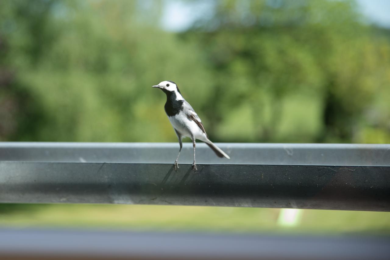 Vauxaillon Au Jardin Fleuriヴィラ エクステリア 写真