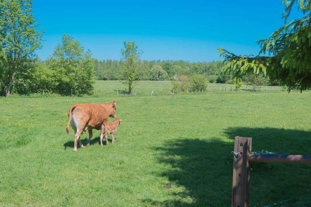 Vauxaillon Au Jardin Fleuriヴィラ エクステリア 写真